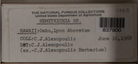Image Associated With the Occurence